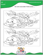 okul öncesi İki Resim Arasındaki Farkı Bul